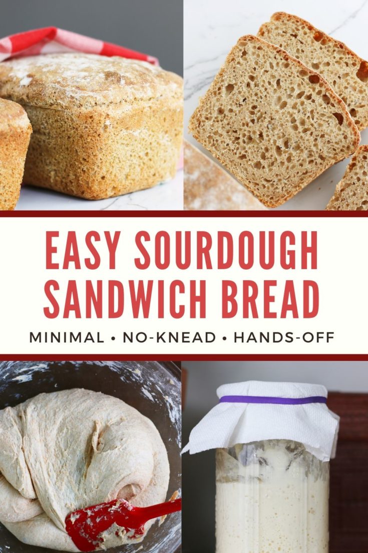 Easy Sourdough Bread with Whole Wheat Flour - Bakes and Blunders