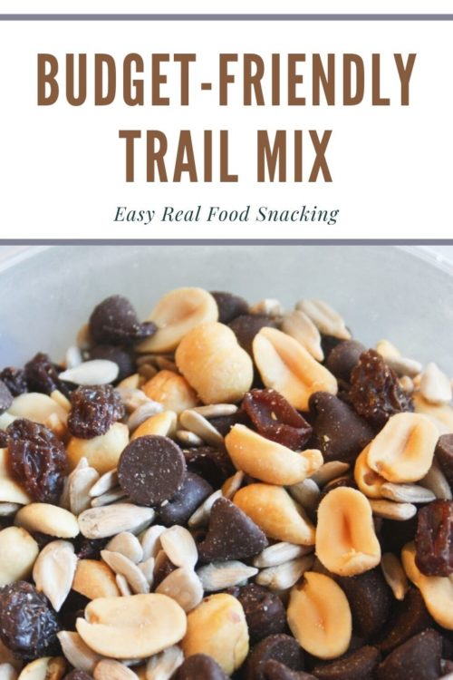 Easy Homemade Trail Mix Recipe